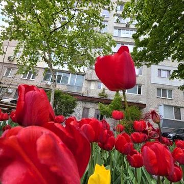 Свободна.2 х к кв. Центр Днепра.  Риелторы не звоните.