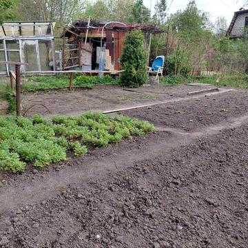Продаж дачі у Львові по вул. Миколайчука - Збиранка 5 соток з садовим будинком.