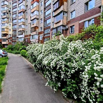Продам 3кім.к  Київ Виноградар Варшавський пр. Г.Гонгадзе,9 ліс метро ремонт 70м -74т$