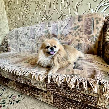 Сдам затишну квартиру pet-friendly