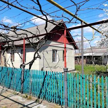 Продам дом в селе Кошары Раздельнянского района.