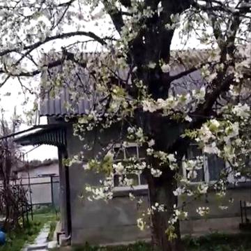 Продам капітальну дачу біля лісу та озера, Глеваха-3, Лінія 12