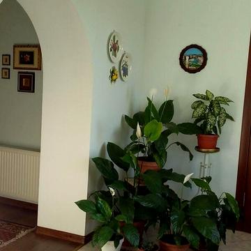 Продаж 4к Дім Миру