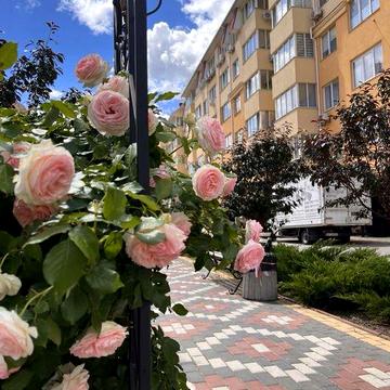 Продається сучасна 1-кк 42 м2 в ЖК «Київський маєток», розтермінування 2 роки ЖК Київський маєток