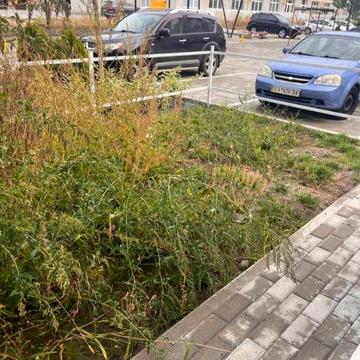Будинок зданий, можна заходити на ремонт Продаж 1к. Квартири з двориком ЖК Санвіль парк Sanville park, поряд Петрівський квартал Петрівське містечко ЖК Sanville park