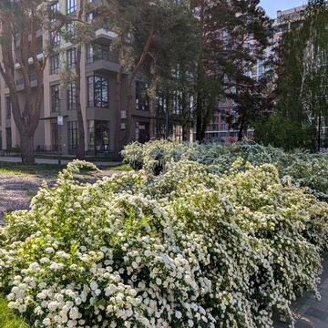 ЖК" Krona Park-2" продаж класної двокімнатної квартири.