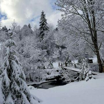 Душа Закарпаття.