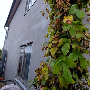 Продаж,  Дом,  8 комнат,  324 м²,  5.00 сот.,  Черноморский 10-й переулок,  Большевик,  Одесса