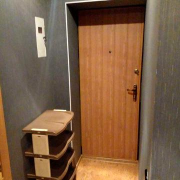 Здам 1к квартиру в центрі