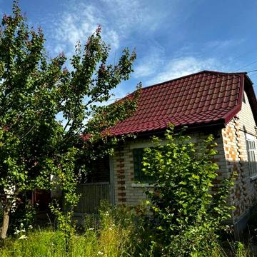 Дача на Заставі Корператив Прогрес