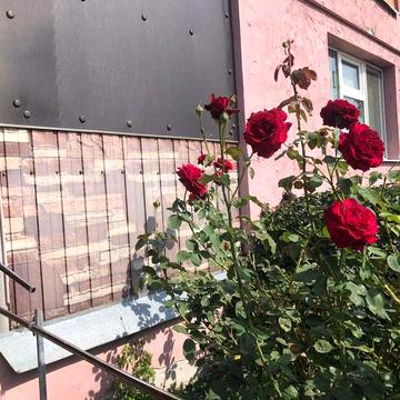 Оренда будинку, Кобищани