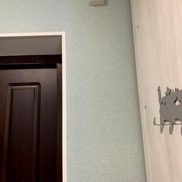 Аренда однокомнатная квартира