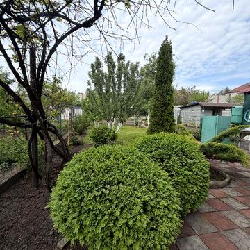 Продам дачу Курилівка