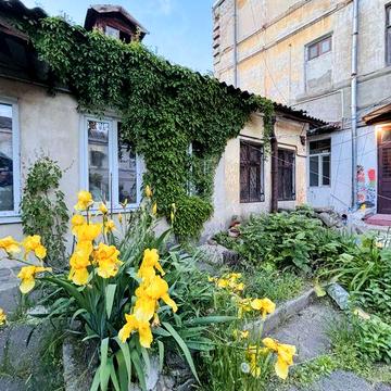 2 ком. квартира в центре АГВ Палисадник 25.000$