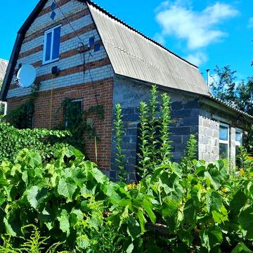 Продається дача. Вижгородський р-н. С Хотянівка,.садове товаоиство Червоний прапор