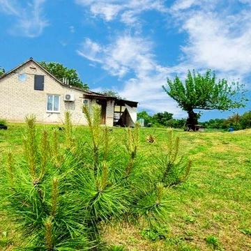 ПРОДАМ будинок в центрі с. Голубівка, Самарівський район.