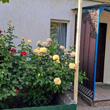 Продається будинок в смт Нововоронцовка