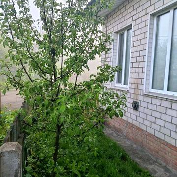 1-кімнатна квартира з індивідуальним опаленням м.Конотоп. ЖК -