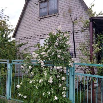 Продам дачу, р.н Левшинский залив, остановка "Дальние дачи"