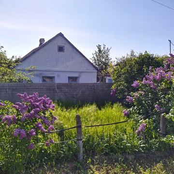 Продажа будинку селе Миролюбове