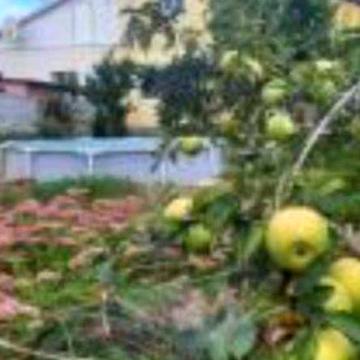 Продам 2/3 будинка в Основянскому районі.