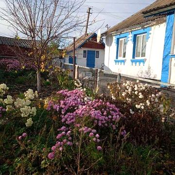 Продаж будинку в селі Капустинці