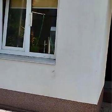 Здам невеликий будиночок в Борисполі