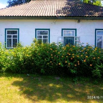 продам будинок 80 кв.м з великою ділянкою для життя чи дачі, прибудови город, Власник