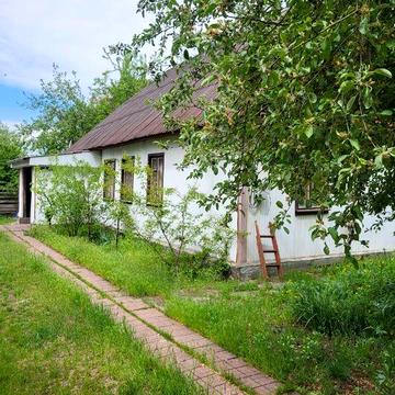 Продається газифікований будинок в мальовничому с.Кодра Київська область