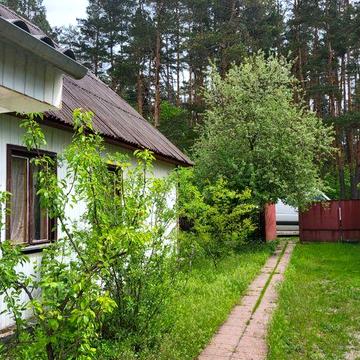 Продається газифікований будинок в мальовничому с.Кодра Київська область