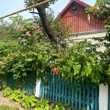 Продам міцний житловий будинок у Великій Михайлівці ПРОГРАМИ (220-505)