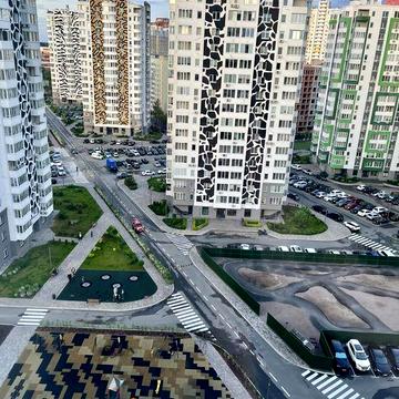 Здається в оренду 2-кімнатна квартира в Саванна Сіті,Тигр
