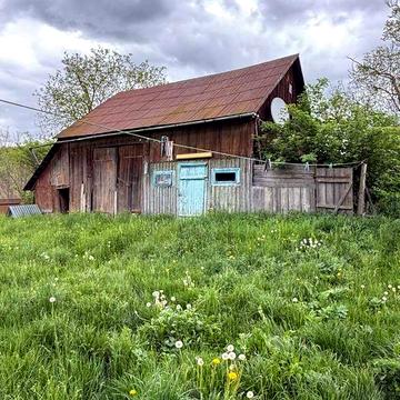Продається стареньке господарство в селі Червона Діброва
