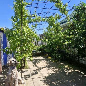 Продам будинок в селі Олександрівка , Миколаївської області.