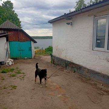 Продається будинок на березі водосховища ,підійде як для проживання та бізнесу ,підведений газ , вода , поруч зупинка  лікарня школа ,