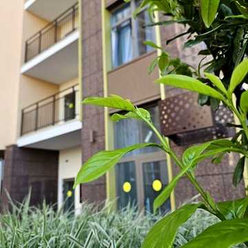 Продаж 2к Квартира Краснова вулиця ЖК Kadorr City
