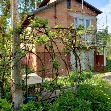Продаж дачі 14 соток землі + гараж у сосновому лісі №19189