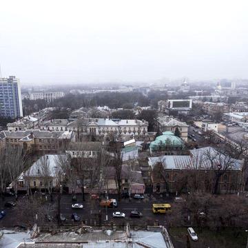 Сдам студию кадор 50 жемчужина