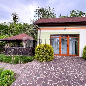 Продаж будинку з великою територією, сауною та озером с. Старичі