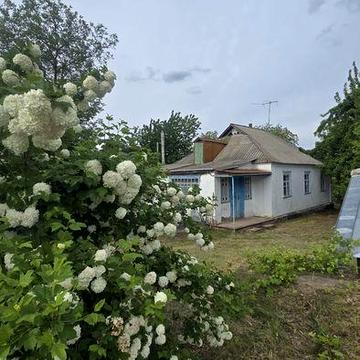 Продаж будинку с Лука