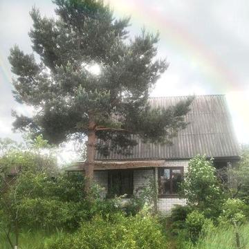 Дім в дачному кооперативі, річка, ліс