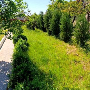 Продам дачу, р-н Левшинский залив, Вольноулановское