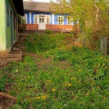 Будинок 45 м² з газом, ділянка 25 соток. хата , прибудови . с. Сороки