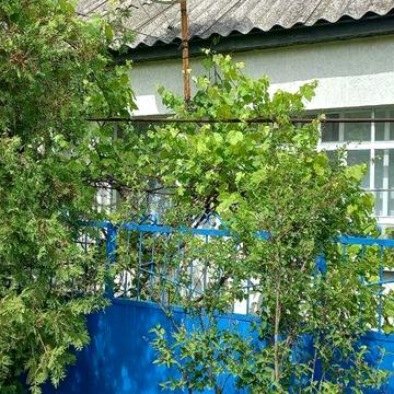 Сдам дом в аренду в Чугуеве.