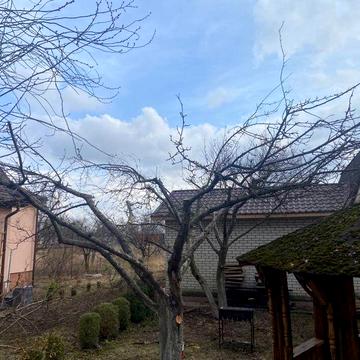 Здам в оренду будинок артемівка