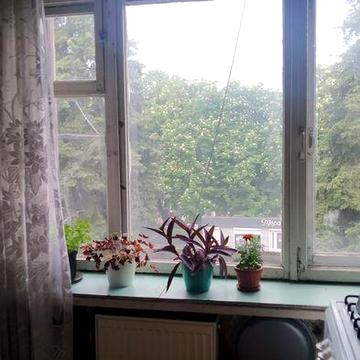 Продам однокімнатну квартиру з індивідуальним газовим опаленням