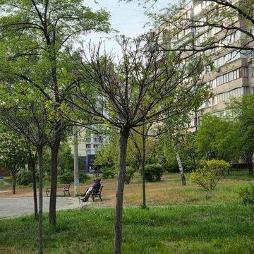 Продаж 2 к, Деснянський, Троєщина,  вул.Лифаря, 18  ВСІ держпрограми розглядаємо