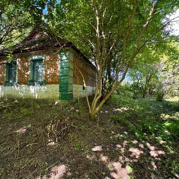 Продаж будинку з великою земельною ділянкою в с. Великі Крушлинці