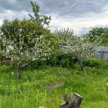 Дача з басейном біля озера, 6 соток. Мала Солтанівка (35 хв до Теремків)