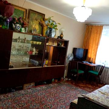 Здам квартиру в оренду